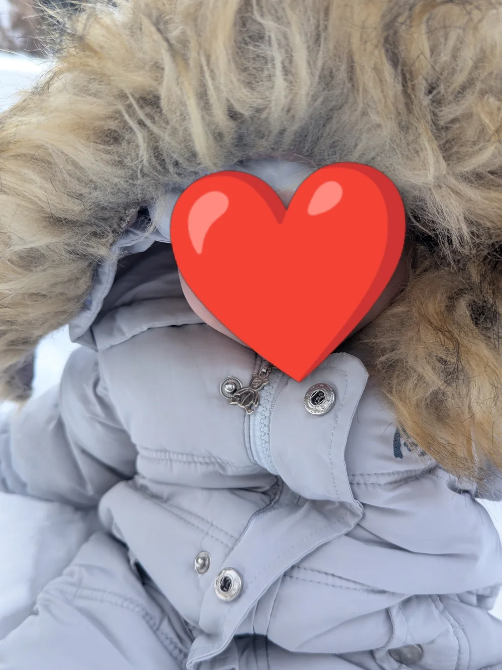 Unbranded Kids Light Gray Puffer Snowsuit with Hood